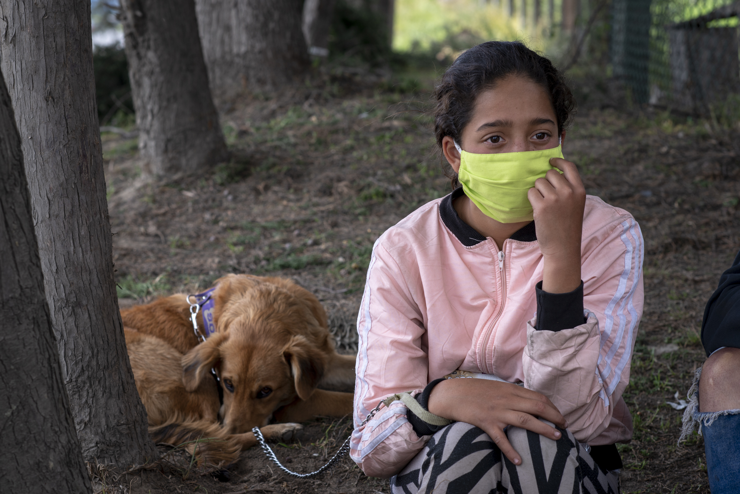 El largo camino a casa