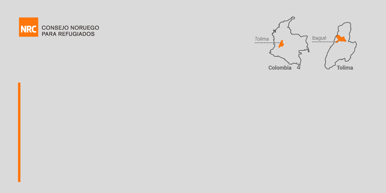 Reporte de situación: Migrantes provenientes de Venezuela en Ibagué, Colombia