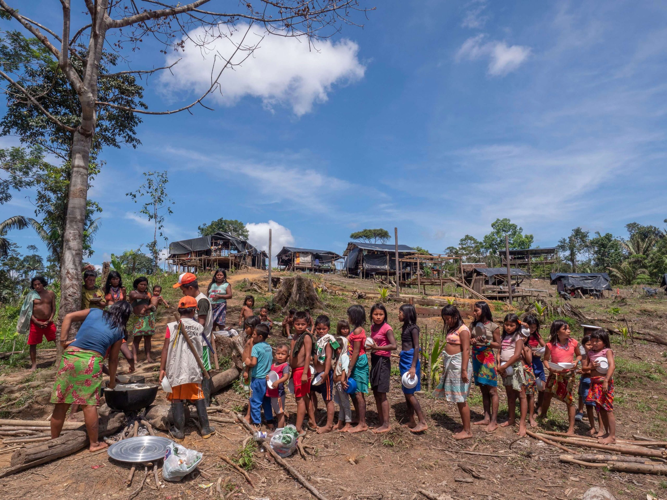 Buscando recomenzar en la selva colombiana